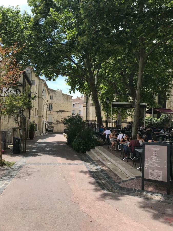 Superbe ! Appart T2 - Centre Historique & Tram - Situation Ideale Daire Montpellier Dış mekan fotoğraf
