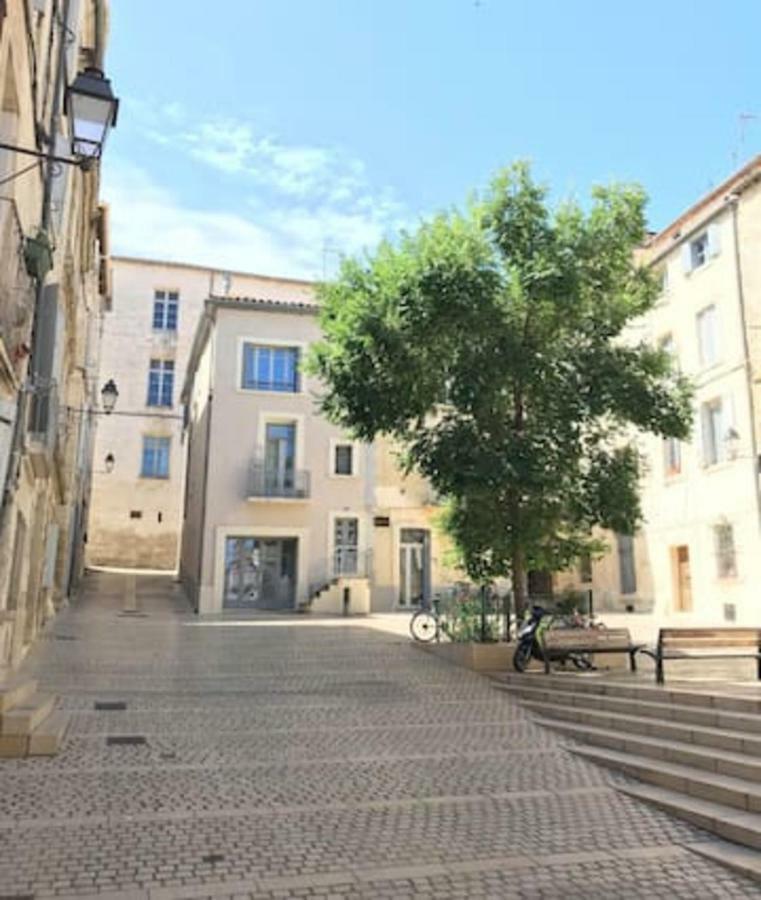 Superbe ! Appart T2 - Centre Historique & Tram - Situation Ideale Daire Montpellier Dış mekan fotoğraf